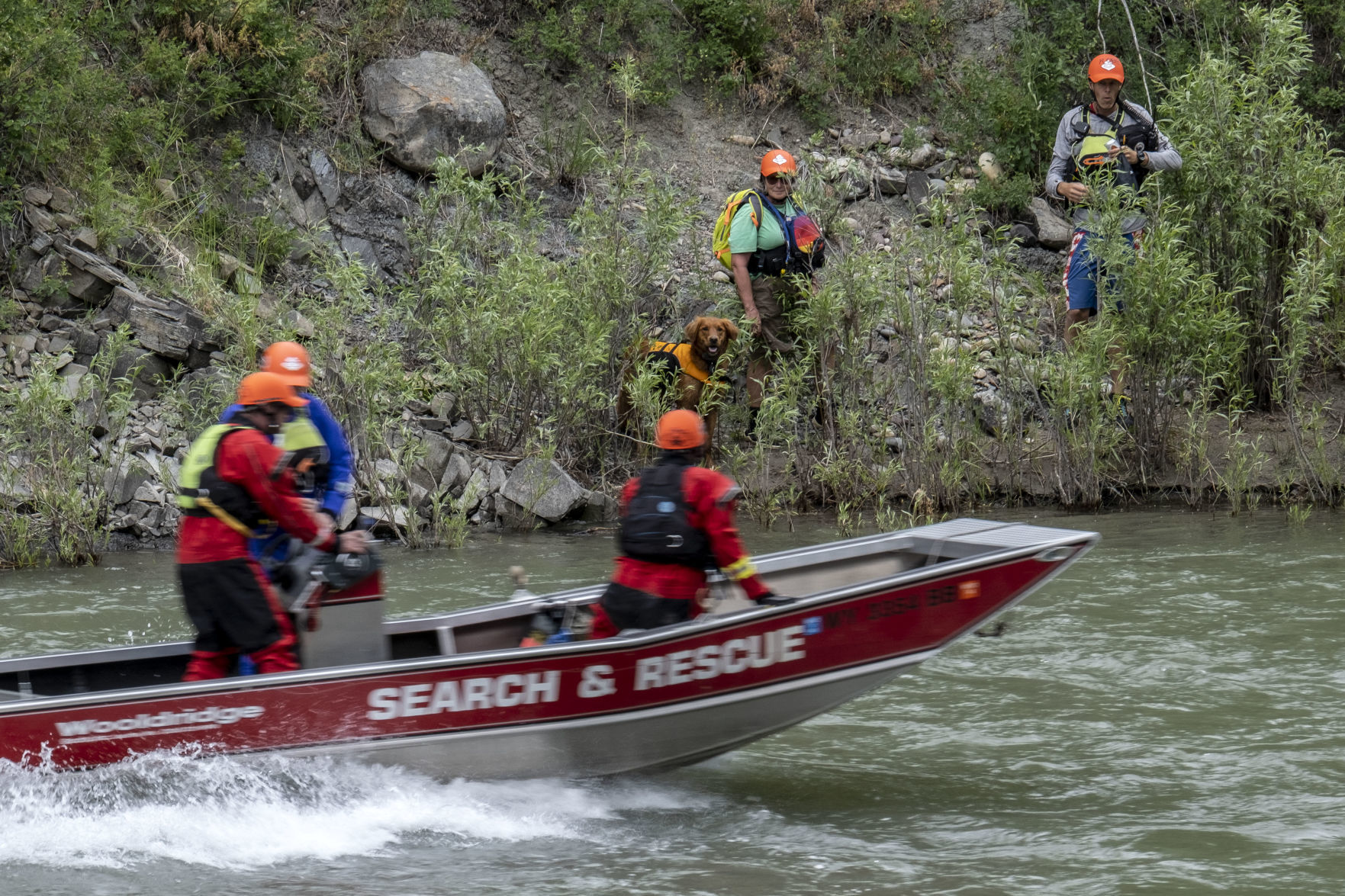 Search for Averin Scott